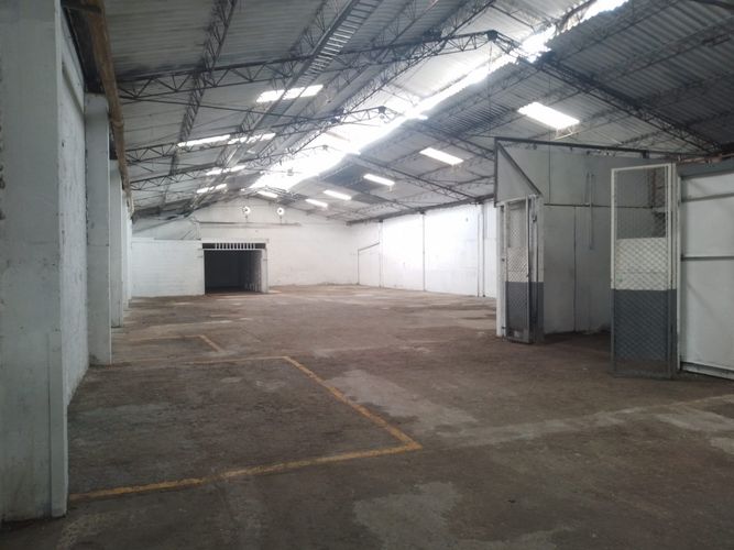 Bodega en arriendo en El Poblado, Medellín, 768 m² · foto 3 de 19