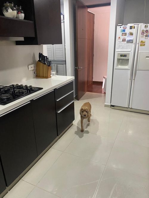 Apartamento de 4 alcobas en venta en Alejandria, Bogotá, 157 m² · foto 8 de 24