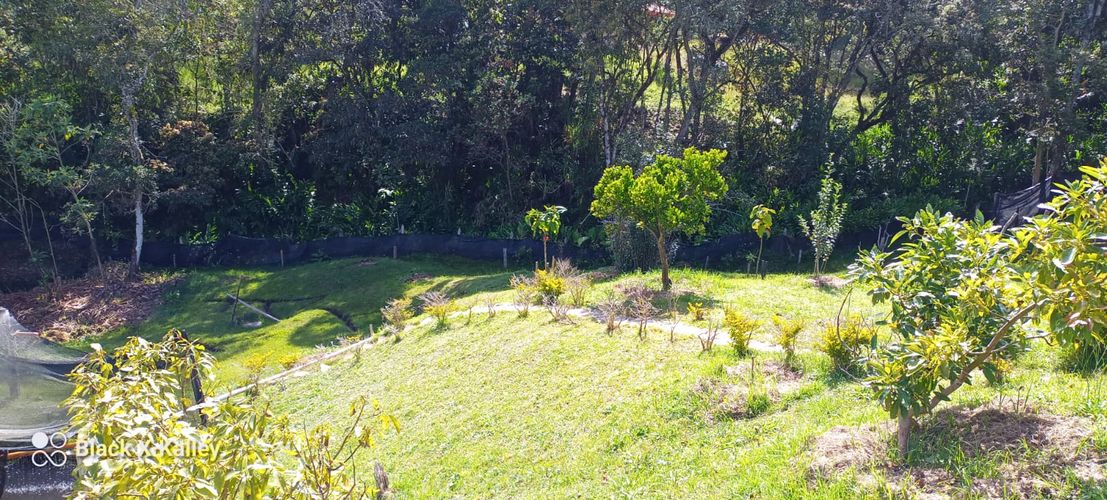 Finca en venta en El Salado, Guarne, 6400 m² · foto 17 de 20
