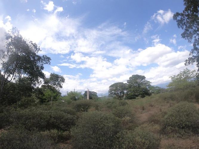 Lote en venta en San Antonio Del Carrizal, Bucaramanga, 40000 m² · foto 5 de 15