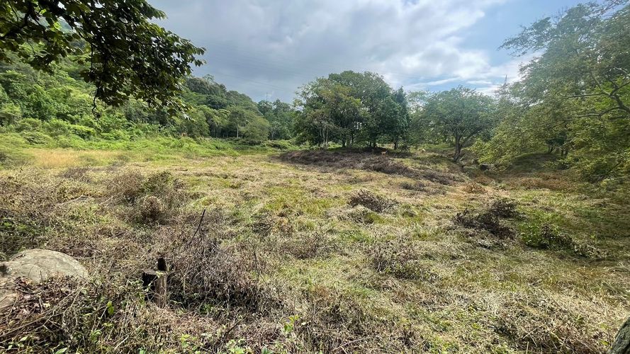 Lote en venta en San Antonio Del Carrizal, Bucaramanga, 40000 m² · foto 10 de 15