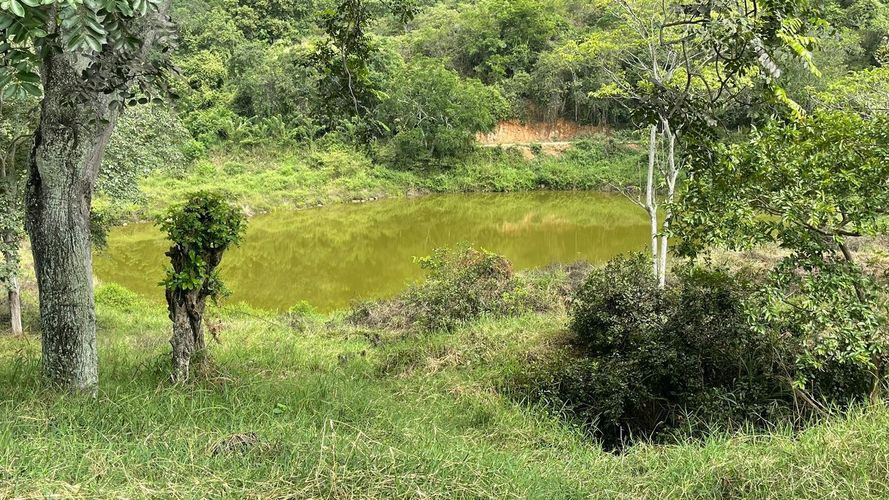 Lote en venta en San Antonio Del Carrizal, Bucaramanga, 40000 m² · foto 11 de 15