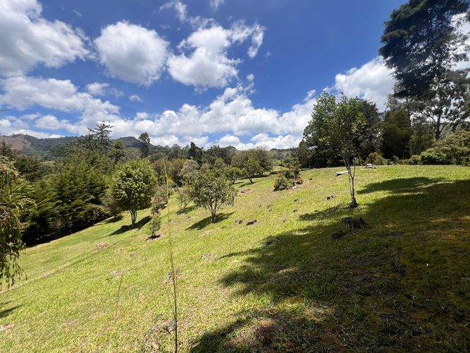 Lote en venta en El Porvenir, Rionegro, 7200 m² · foto 9 de 10