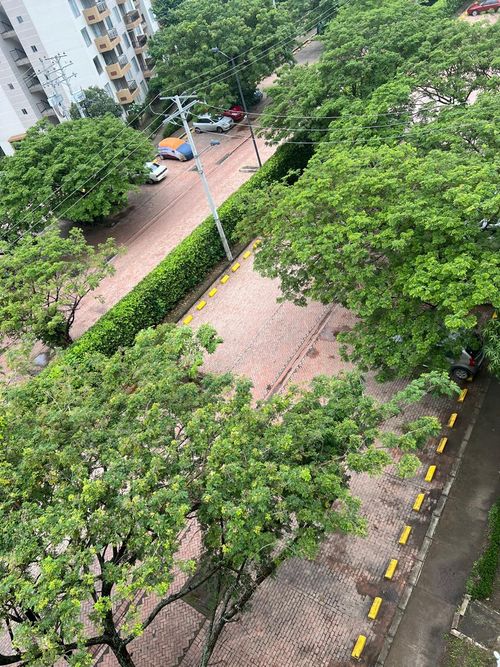 Apartamento de 2 alcobas en venta en Ricaurte, 58 m² · foto 14 de 18