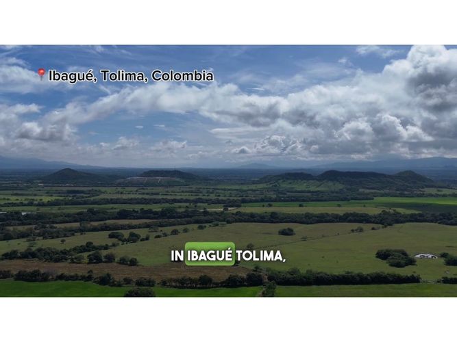 Finca en venta en Centro, Ibagué · foto 2 de 11