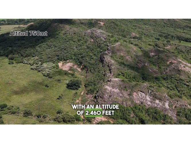 Finca en venta en Centro, Ibagué · foto 4 de 11