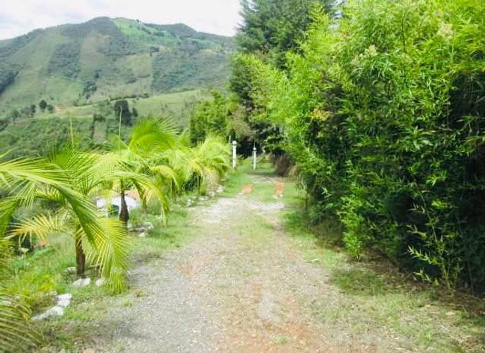 Lote en venta en Guarne, 2500 m² · foto 4 de 8
