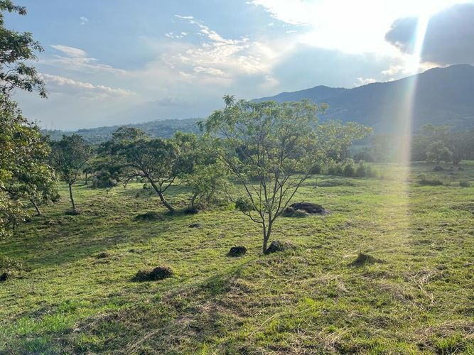 Lote en venta en Pance Bajo, Cali, 6000 m² · foto 2 de 24