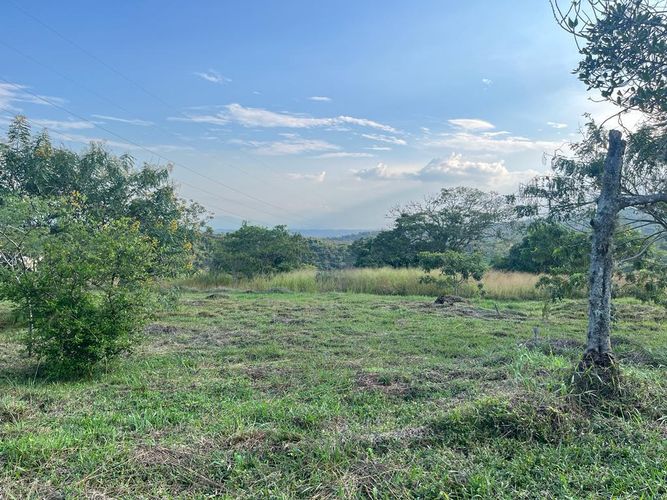Lote en venta en Pance Bajo, Cali, 6000 m² · foto 4 de 24