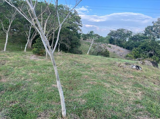 Lote en venta en Pance Bajo, Cali, 6000 m² · foto 5 de 24