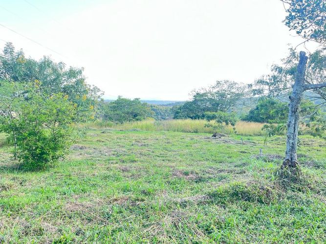 Lote en venta en Pance Bajo, Cali, 6000 m² · foto 6 de 24