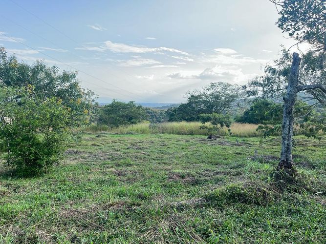 Lote en venta en Pance Bajo, Cali, 6000 m² · foto 8 de 24