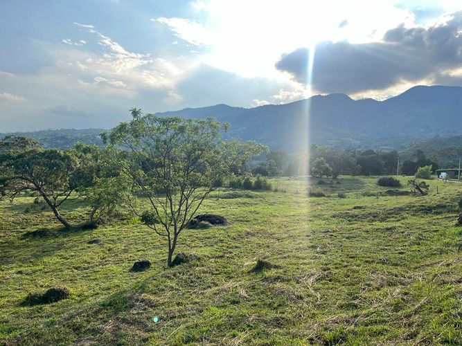 Lote en venta en Pance Bajo, Cali, 6000 m² · foto 12 de 24