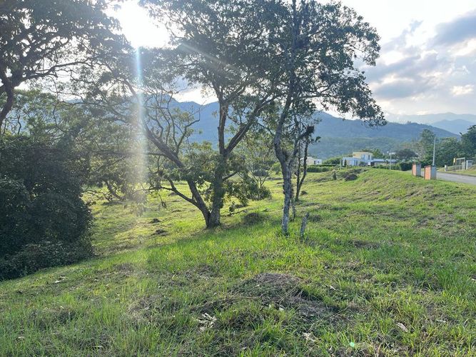 Lote en venta en Pance Bajo, Cali, 6000 m² · foto 13 de 24