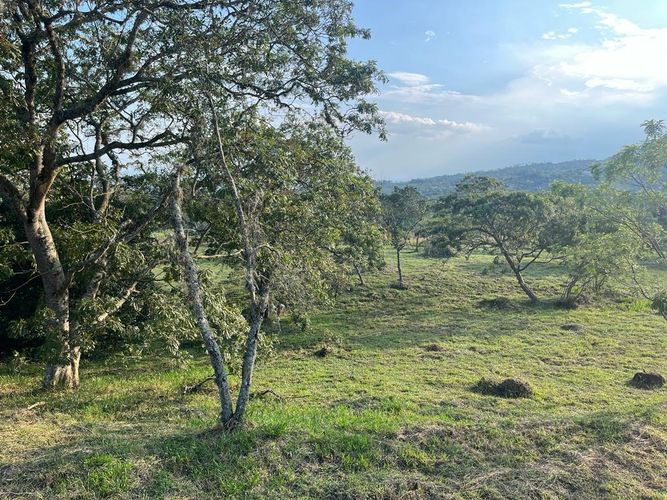 Lote en venta en Pance Bajo, Cali, 6000 m² · foto 14 de 24