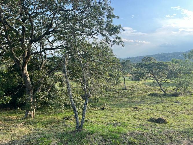 Lote en venta en Pance Bajo, Cali, 6000 m² · foto 15 de 24