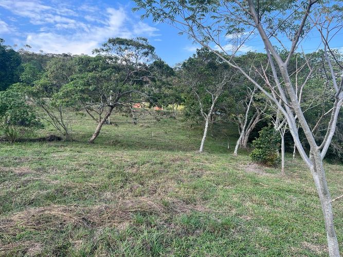 Lote en venta en Pance Bajo, Cali, 6000 m² · foto 16 de 24