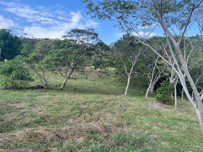 Lote en venta en Pance Bajo, Cali, 6000 m² · foto 17 de 24