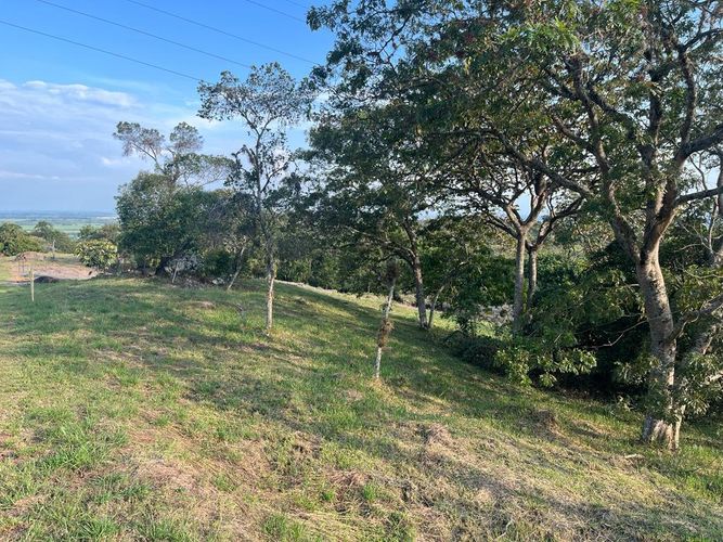 Lote en venta en Pance Bajo, Cali, 6000 m² · foto 18 de 24