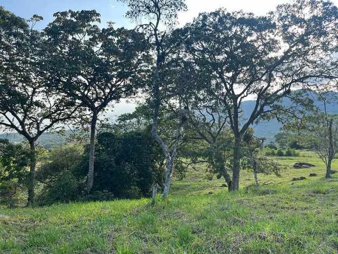 Lote en venta en Pance Bajo, Cali, 6000 m² · foto 19 de 24