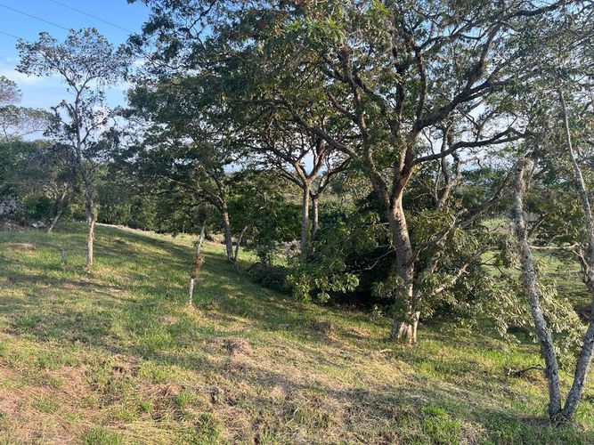 Lote en venta en Pance Bajo, Cali, 6000 m² · foto 20 de 24