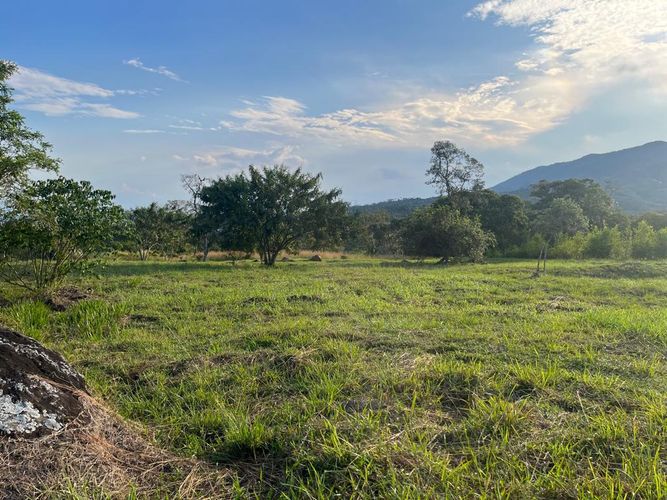 Lote en venta en Pance Bajo, Cali, 6000 m² · foto 21 de 24