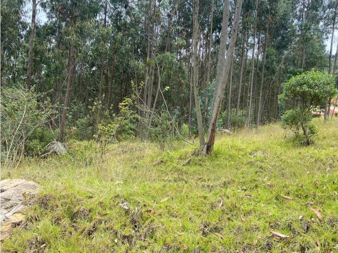 Lote en venta en El Porvenir, Tocancipá, 3800 m² · foto 4 de 22