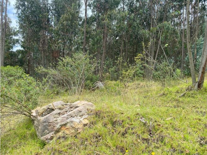Lote en venta en El Porvenir, Tocancipá, 3800 m² · foto 5 de 22