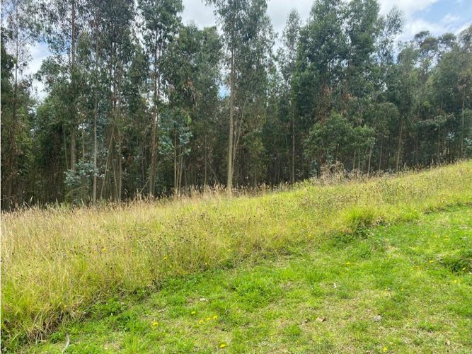 Lote en venta en El Porvenir, Tocancipá, 3800 m² · foto 6 de 22