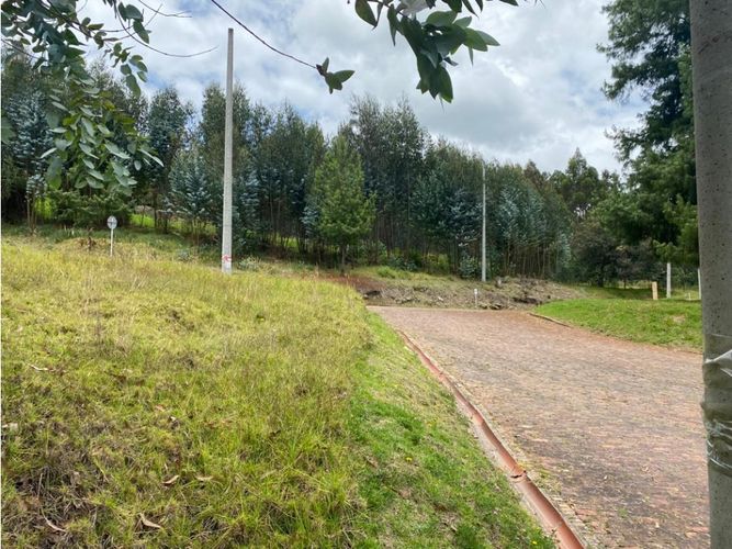 Lote en venta en El Porvenir, Tocancipá, 3800 m² · foto 7 de 22
