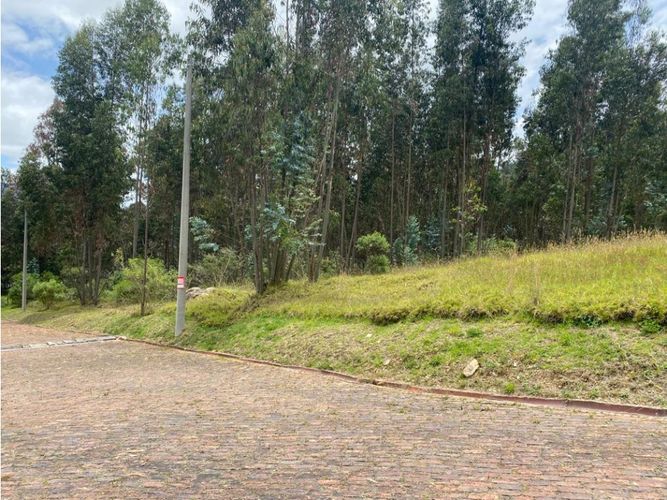 Lote en venta en El Porvenir, Tocancipá, 3800 m² · foto 8 de 22