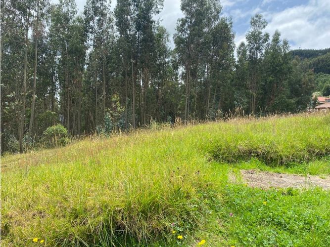 Lote en venta en El Porvenir, Tocancipá, 3800 m² · foto 9 de 22