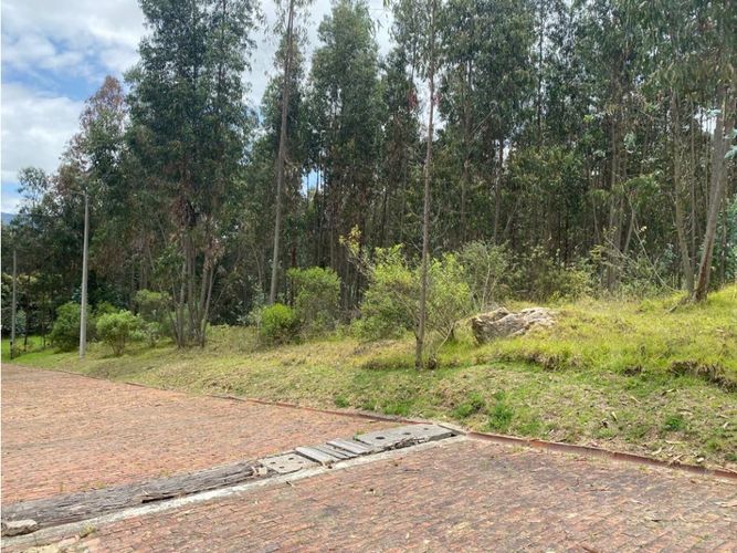Lote en venta en El Porvenir, Tocancipá, 3800 m² · foto 10 de 22