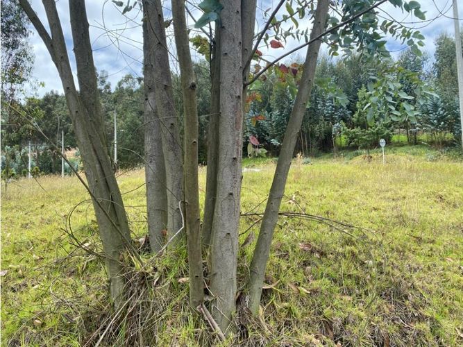 Lote en venta en El Porvenir, Tocancipá, 3800 m² · foto 11 de 22