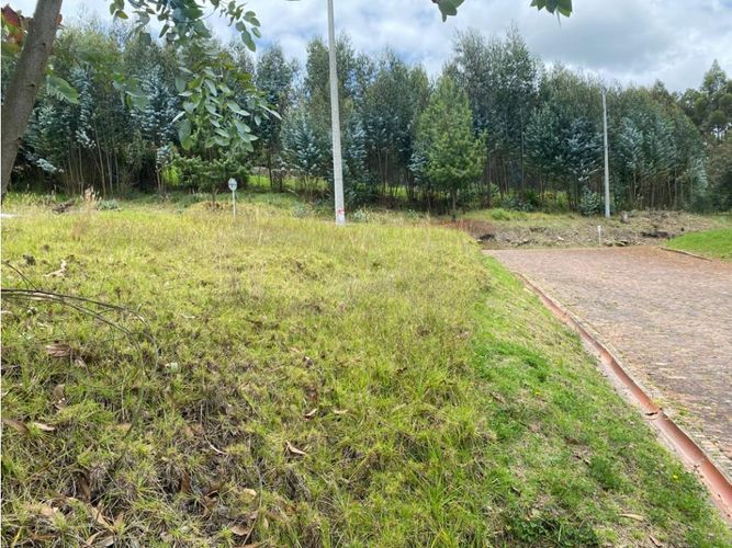 Lote en venta en El Porvenir, Tocancipá, 3800 m² · foto 12 de 22