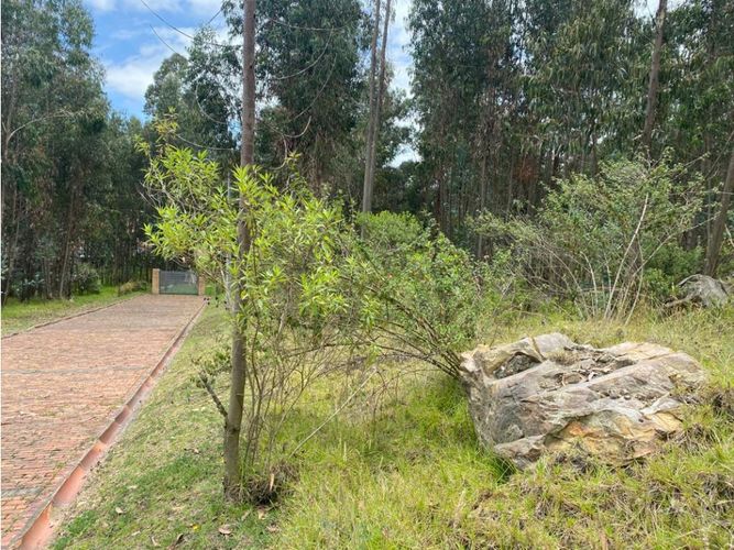 Lote en venta en El Porvenir, Tocancipá, 3800 m² · foto 13 de 22