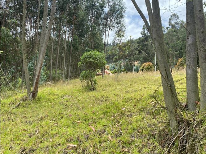 Lote en venta en El Porvenir, Tocancipá, 3800 m² · foto 14 de 22