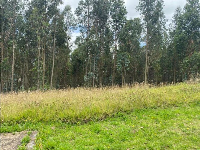 Lote en venta en El Porvenir, Tocancipá, 3800 m² · foto 17 de 22