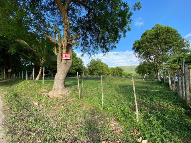 Lote en venta en Llano Pozo, Ricaurte, 14848 m² · foto 3 de 4