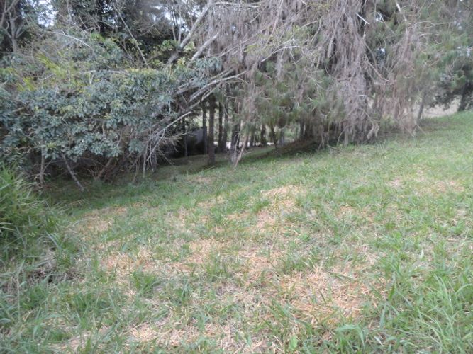 Lote en venta en Mesa De Los Santos, Piedecuesta, 840 m² · foto 8 de 11