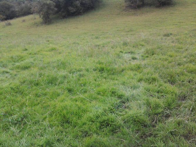 Lote en venta en Yerbabuena, Chía · foto 3 de 12
