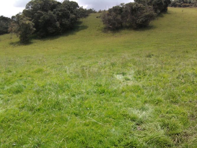 Lote en venta en Yerbabuena, Chía · foto 5 de 12