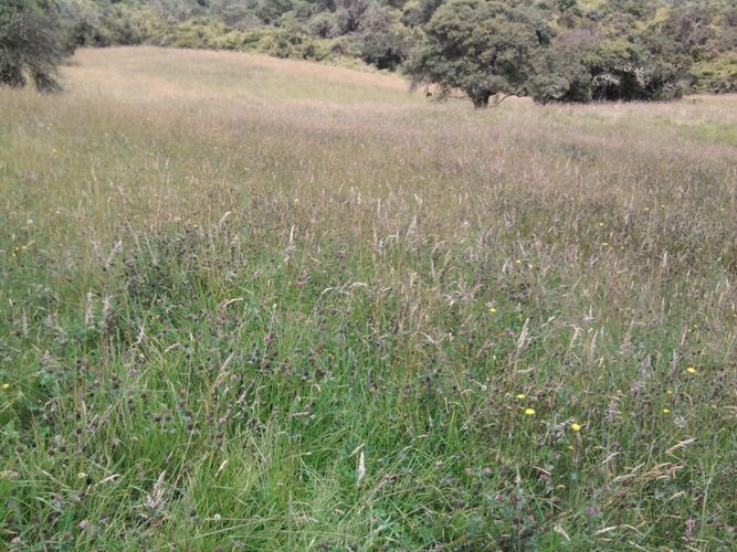 Lote en venta en Yerbabuena, Chía · foto 6 de 12
