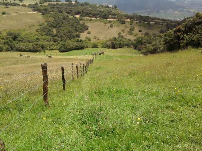 Lote en venta en Yerbabuena, Chía · foto 7 de 12