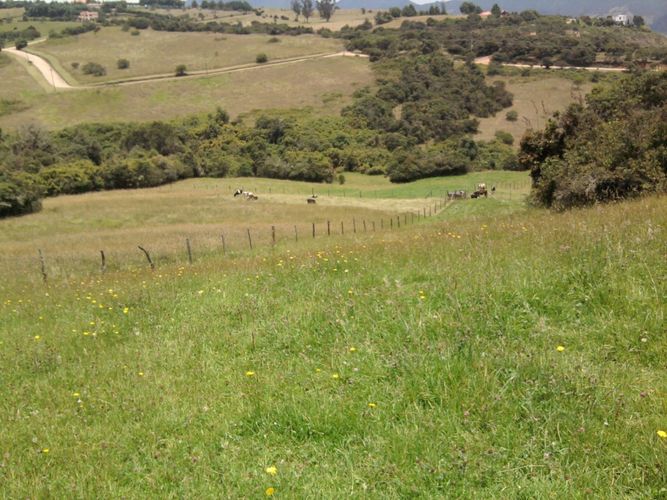Lote en venta en Yerbabuena, Chía · foto 8 de 12