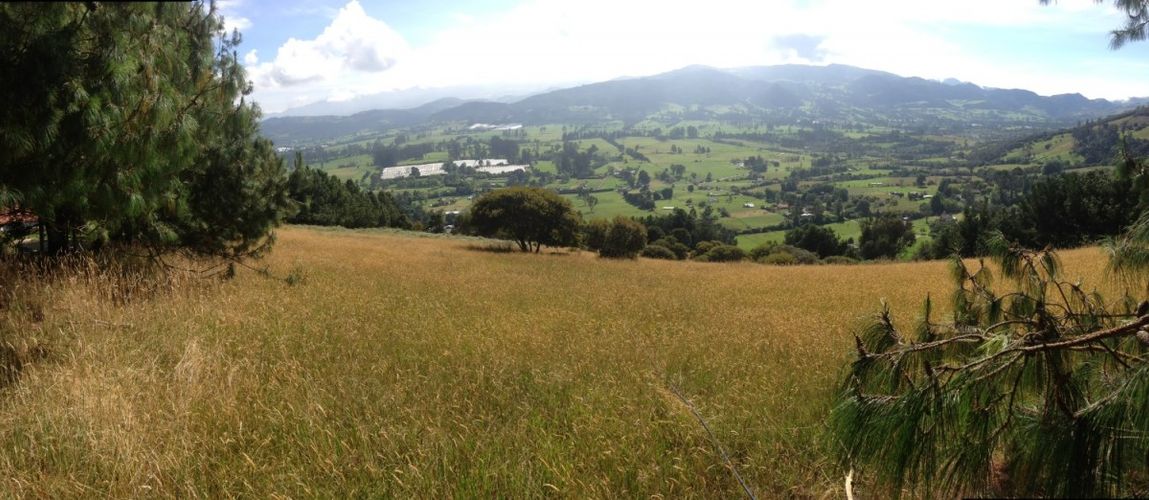Lote en venta en Yerbabuena, Chía · foto 9 de 12