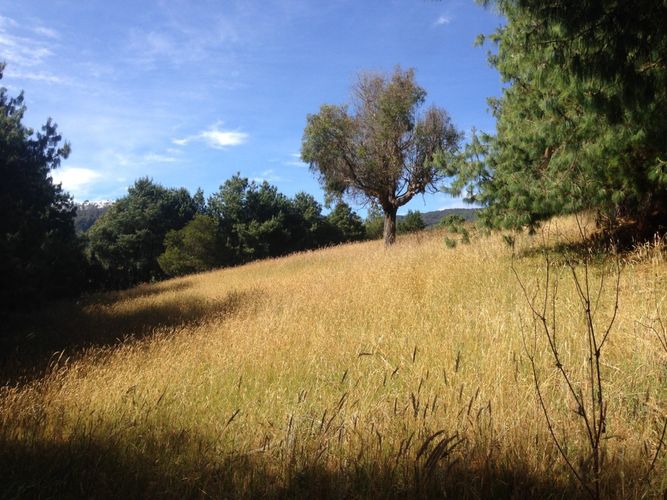 Lote en venta en Yerbabuena, Chía · foto 10 de 12
