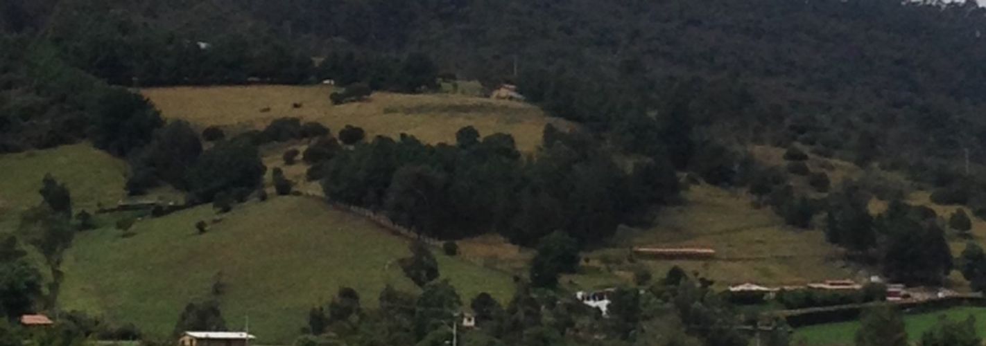 Lote en venta en Yerbabuena, Chía · foto 11 de 12