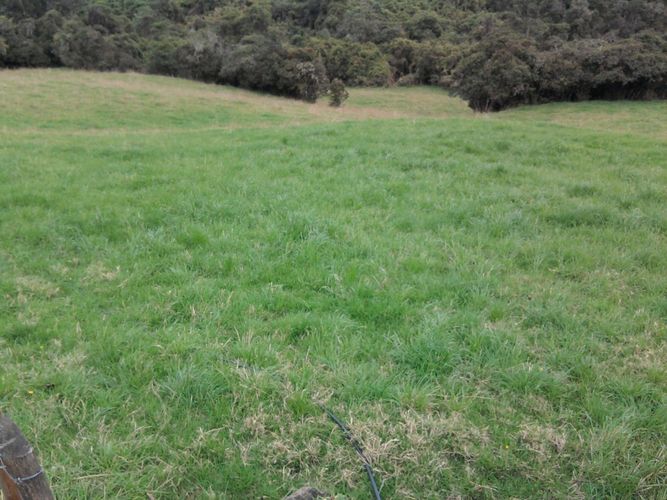 Lote en venta en Yerbabuena, Chía · foto 12 de 12