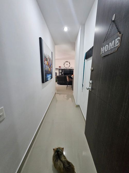 Apartamento en venta en Cuarto De Legua - Guadalupe, Cali · foto 8 de 10
